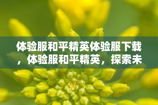 体验服和平精英体验服下载,体验服和平精英,探索未知,挑战极限 体验服和平精英体验服下载,体验服和平精英,探索未知,挑战极限