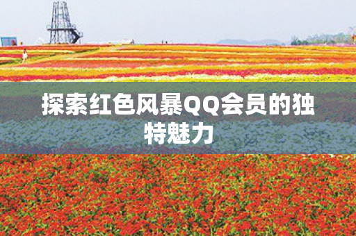 探索红色风暴QQ会员的独特魅力 探索红色风暴QQ会员的独特魅力