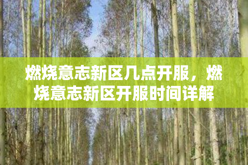 燃烧意志新区几点开服，燃烧意志新区开服时间详解