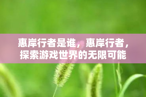 惠岸行者是谁,惠岸行者,探索游戏世界的无限可能 惠岸行者是谁,惠岸行者,探索游戏世界的无限可能