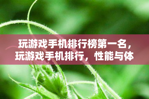 玩游戏手机排行榜第一名,玩游戏手机排行,性能与体验的双重盛宴 玩游戏手机排行榜第一名,玩游戏手机排行,性能与体验的双重盛宴