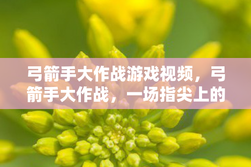 弓箭手大作战游戏视频，弓箭手大作战，一场指尖上的射击盛宴