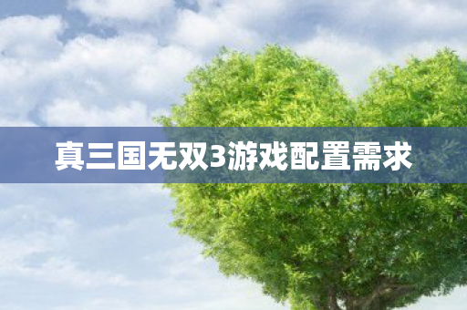 真三国无双3游戏配置需求