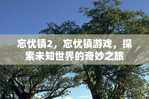 忘忧镇2,忘忧镇游戏,探索未知世界的奇妙之旅 忘忧镇2,忘忧镇游戏,探索未知世界的奇妙之旅