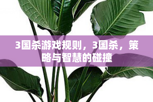 3国杀游戏规则,3国杀,策略与智慧的碰撞 3国杀游戏规则,3国杀,策略与智慧的碰撞