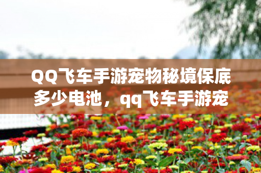 QQ飞车手游宠物秘境保底多少电池,qq飞车手游宠物秘境,探索神秘宠物世界的奇妙之旅 QQ飞车手游宠物秘境保底多少电池,qq飞车手游宠物秘境,探索神秘宠物世界的奇妙之旅