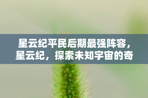 星云纪平民后期最强阵容,星云纪,探索未知宇宙的奇妙之旅 星云纪平民后期最强阵容,星云纪,探索未知宇宙的奇妙之旅
