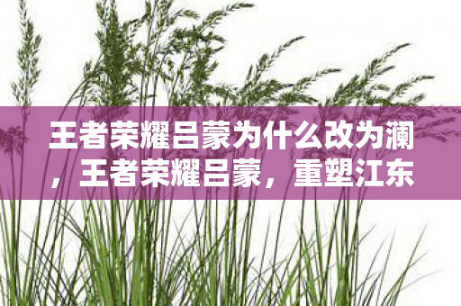 王者荣耀吕蒙为什么改为澜,王者荣耀吕蒙,重塑江东小霸王的传奇之路 王者荣耀吕蒙为什么改为澜,王者荣耀吕蒙,重塑江东小霸王的传奇之路