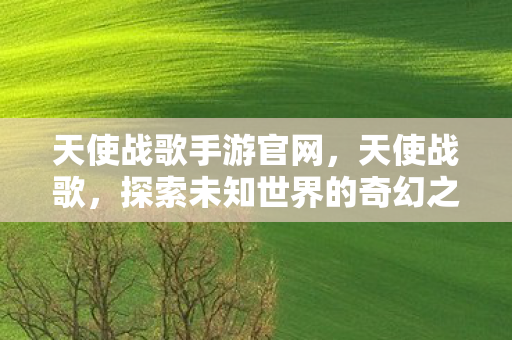 天使战歌手游官网,天使战歌,探索未知世界的奇幻之旅 天使战歌手游官网,天使战歌,探索未知世界的奇幻之旅