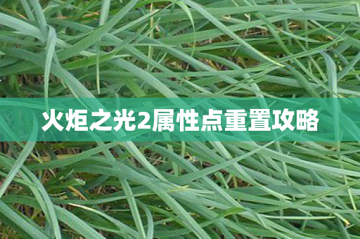 火炬之光2属性点重置攻略