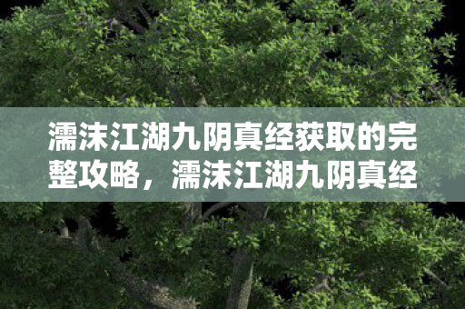 濡沫江湖九阴真经获取的完整攻略，濡沫江湖九阴真经，探寻武侠世界的奥秘