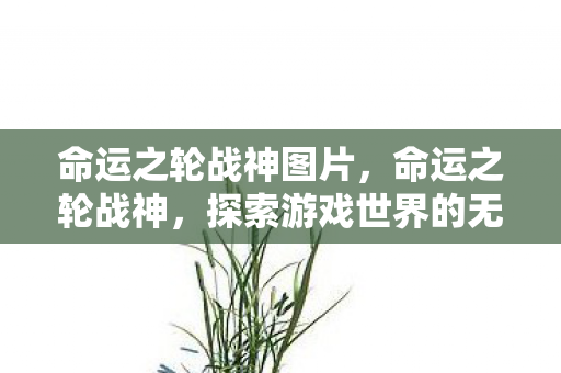 命运之轮战神图片,命运之轮战神,探索游戏世界的无限可能 命运之轮战神图片,命运之轮战神,探索游戏世界的无限可能