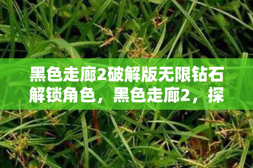 黑色走廊2破解版无限钻石解锁角色，黑色走廊2，探索未知世界的神秘之旅