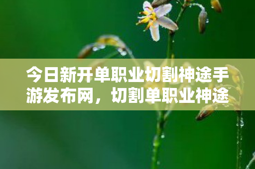 今日新开单职业切割神途手游发布网,切割单职业神途手游,探索全新游戏体验 今日新开单职业切割神途手游发布网,切割单职业神途手游,探索全新游戏体验