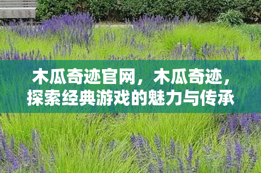 木瓜奇迹官网，木瓜奇迹，探索经典游戏的魅力与传承