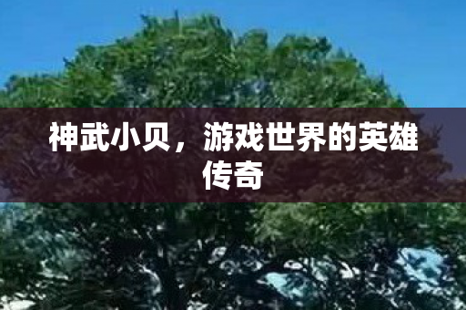神武小贝，游戏世界的英雄传奇