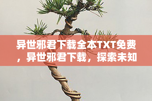异世邪君下载全本TXT免费,异世邪君下载,探索未知世界的奇幻之旅 异世邪君下载全本TXT免费,异世邪君下载,探索未知世界的奇幻之旅