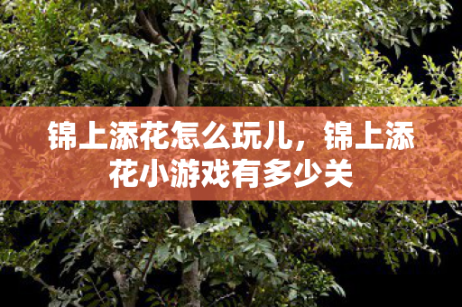 锦上添花怎么玩儿，锦上添花小游戏有多少关