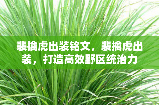 裴擒虎出装铭文，裴擒虎出装，打造高效野区统治力