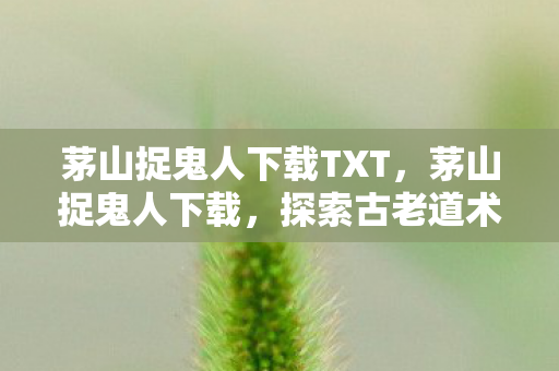 茅山捉鬼人下载TXT,茅山捉鬼人下载,探索古老道术与神秘鬼怪的世界 茅山捉鬼人下载TXT,茅山捉鬼人下载,探索古老道术与神秘鬼怪的世界