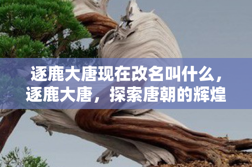 逐鹿大唐现在改名叫什么，逐鹿大唐，探索唐朝的辉煌与变迁