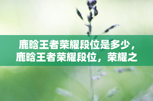 鹿晗王者荣耀段位是多少,鹿晗王者荣耀段位,荣耀之巅,王者风范 鹿晗王者荣耀段位是多少,鹿晗王者荣耀段位,荣耀之巅,王者风范