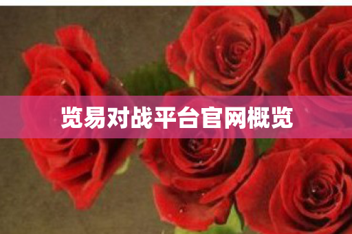 览易对战平台官网概览