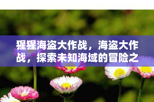 猩猩海盗大作战，海盗大作战，探索未知海域的冒险之旅