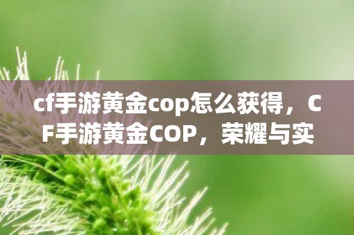 cf手游黄金cop怎么获得，CF手游黄金COP，荣耀与实力的象征