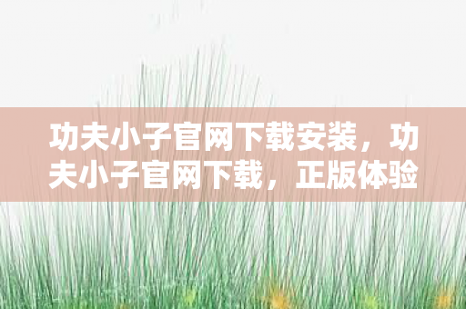 功夫小子官网下载安装，功夫小子官网下载，正版体验，畅享无限