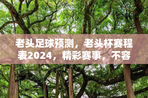 老头足球预测,老头杯赛程表2024,精彩赛事,不容错过! 老头足球预测,老头杯赛程表2024,精彩赛事,不容错过!