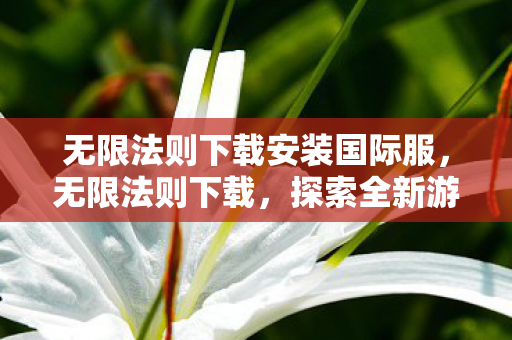 无限法则下载安装国际服,无限法则下载,探索全新游戏体验的便捷途径 无限法则下载安装国际服,无限法则下载,探索全新游戏体验的便捷途径