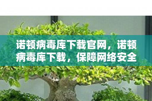 诺顿病毒库下载官网,诺顿病毒库下载,保障网络安全的重要一环 诺顿病毒库下载官网,诺顿病毒库下载,保障网络安全的重要一环