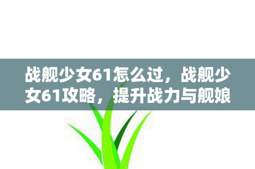 战舰少女61怎么过,战舰少女61攻略,提升战力与舰娘养成全解析 战舰少女61怎么过,战舰少女61攻略,提升战力与舰娘养成全解析