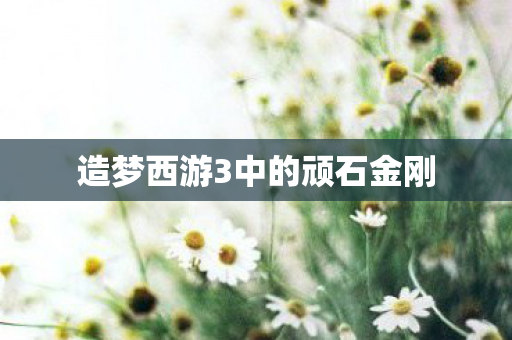 造梦西游3中的顽石金刚