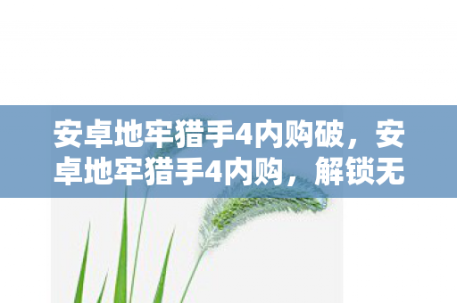 安卓地牢猎手4内购破，安卓地牢猎手4内购，解锁无限可能的冒险之旅