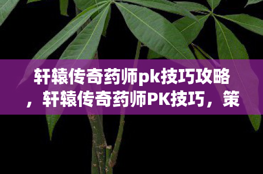 轩辕传奇药师pk技巧攻略，轩辕传奇药师PK技巧，策略与操作的艺术