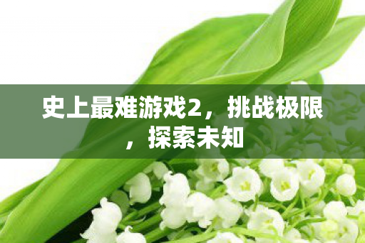 史上最难游戏2，挑战极限，探索未知