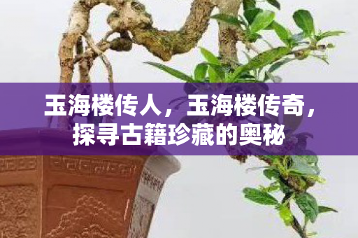 玉海楼传人，玉海楼传奇，探寻古籍珍藏的奥秘