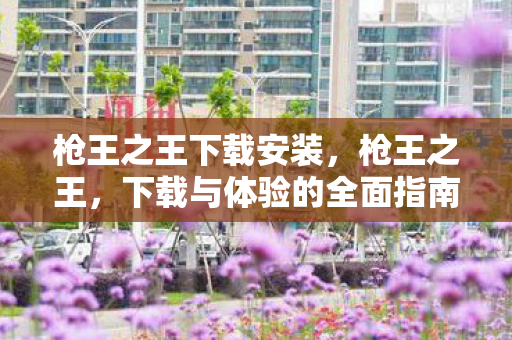 枪王之王下载安装，枪王之王，下载与体验的全面指南