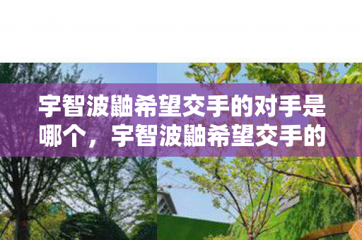 宇智波鼬希望交手的对手是哪个，宇智波鼬希望交手的对手是谁