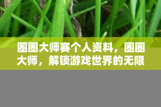 圈圈大师赛个人资料，圈圈大师，解锁游戏世界的无限可能