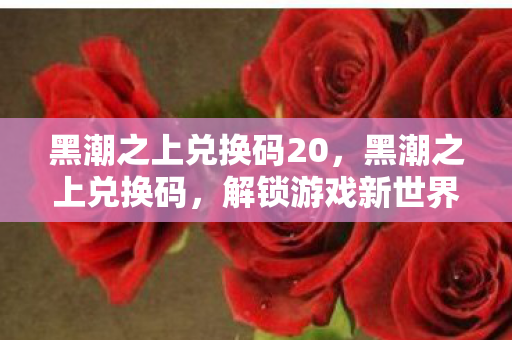 黑潮之上兑换码20，黑潮之上兑换码，解锁游戏新世界的钥匙