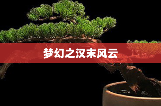 梦幻之汉末风云