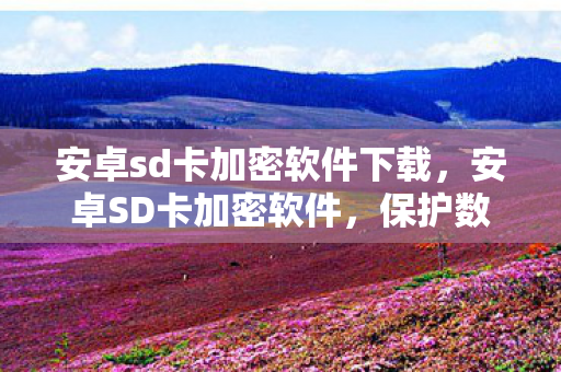 安卓sd卡加密软件下载，安卓SD卡加密软件，保护数据安全的新选择
