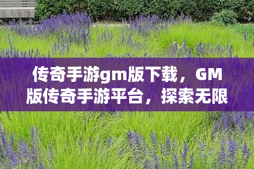 传奇手游gm版下载，GM版传奇手游平台，探索无限可能的虚拟世界
