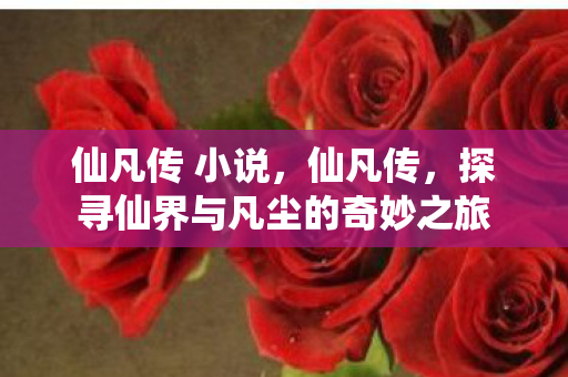 仙凡传 小说,仙凡传,探寻仙界与凡尘的奇妙之旅 仙凡传 小说,仙凡传,探寻仙界与凡尘的奇妙之旅
