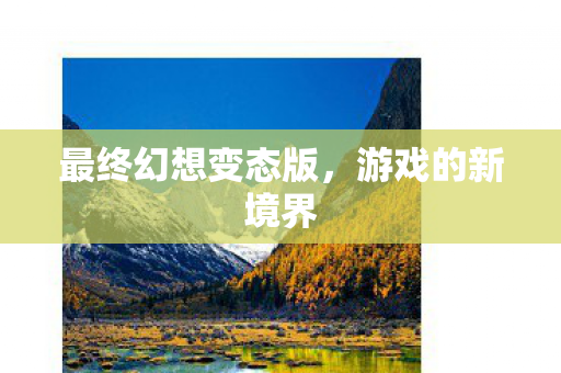 最终幻想变态版，游戏的新境界