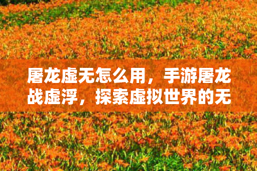 屠龙虚无怎么用,手游屠龙战虚浮,探索虚拟世界的无尽冒险 屠龙虚无怎么用,手游屠龙战虚浮,探索虚拟世界的无尽冒险