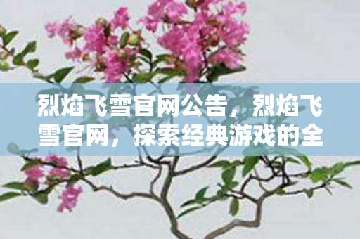 烈焰飞雪官网公告，烈焰飞雪官网，探索经典游戏的全新世界
